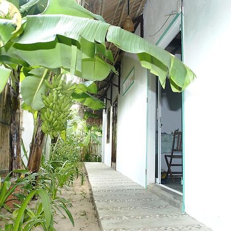 An Bang Little Family Apartman Hội An Kültér fotó